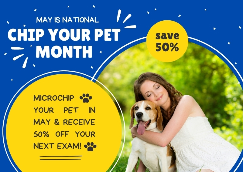 Carousel Slide 1: Learn more about pet microchipping!