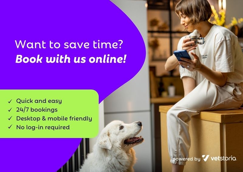 Carousel Slide 2: Online Booking Dog