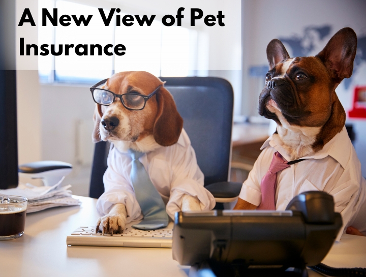 A New View of Pet Insurance